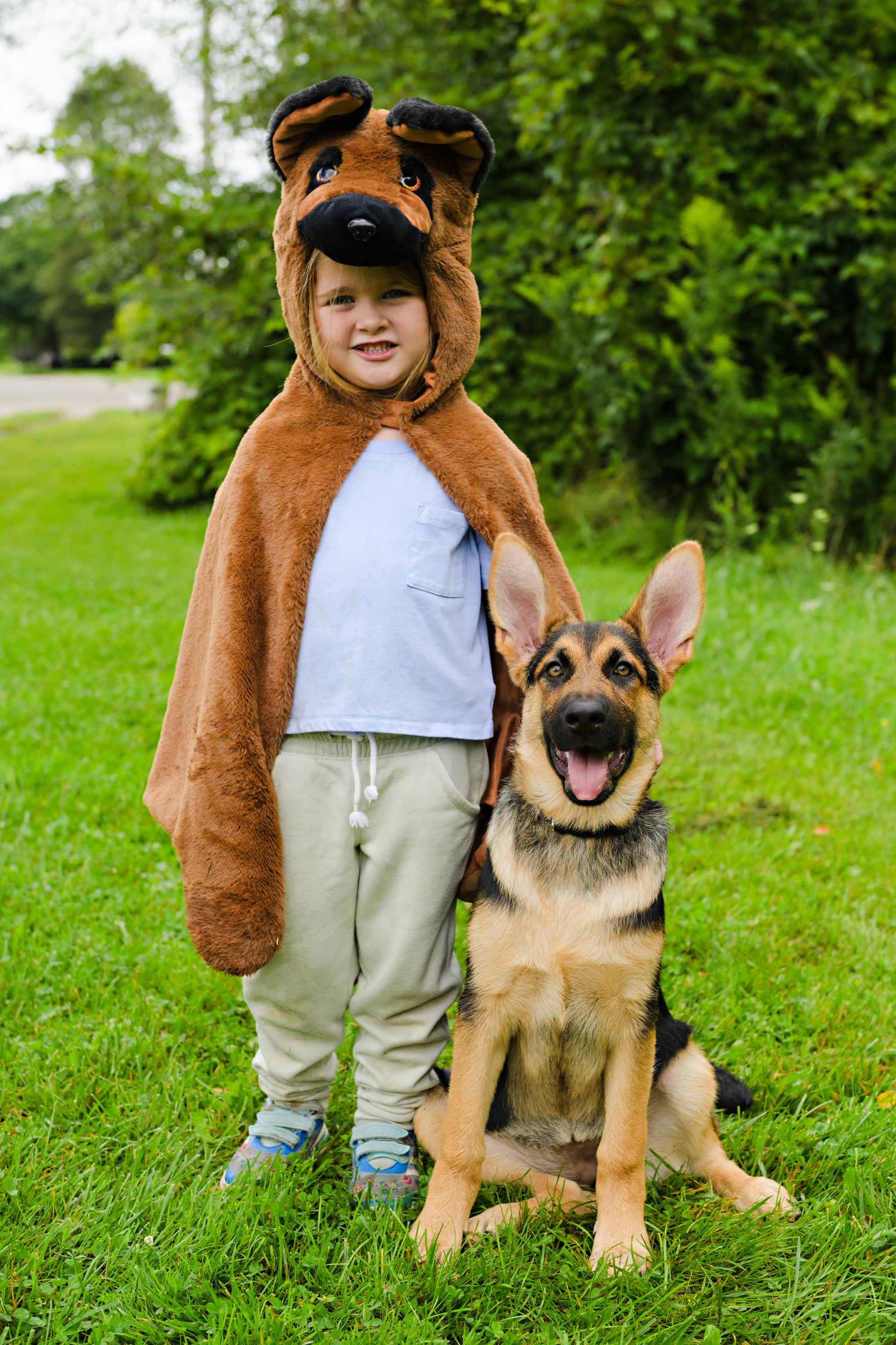 German Shepherd Dog Cuddle Cape