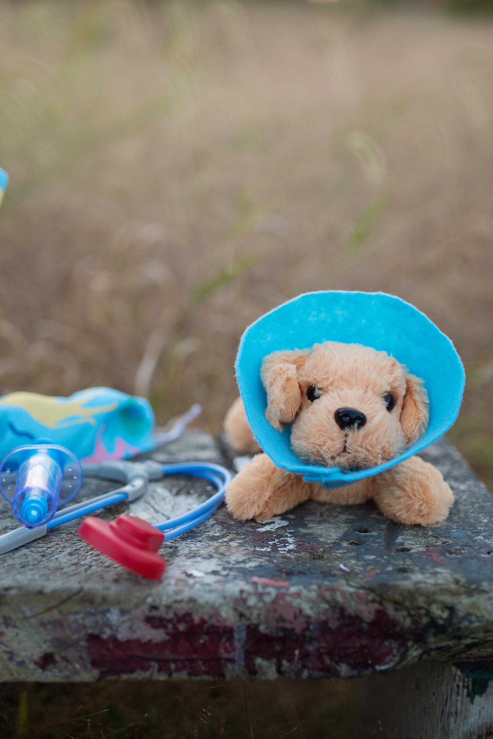 Veterinarian Scrubs with Accessories