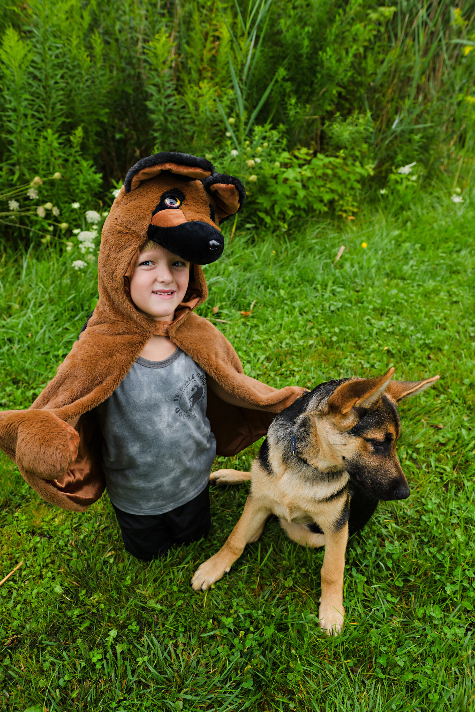 German Shepherd Dog Cuddle Cape